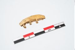 Foto von Eisenpilzknaufschwert (NHMW-PRAE-025449)
